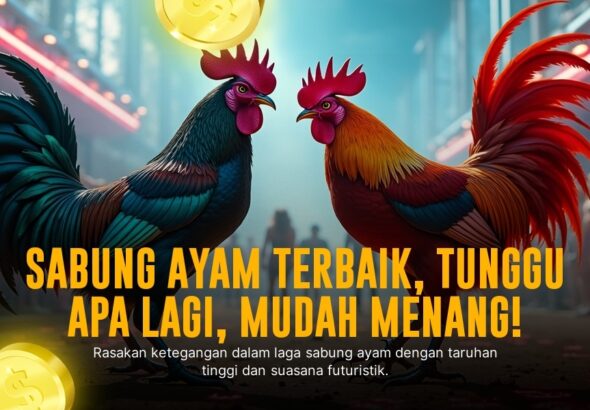Mengenal Sabung Ayam SV388: Adu Strategi dan Peluang Menang