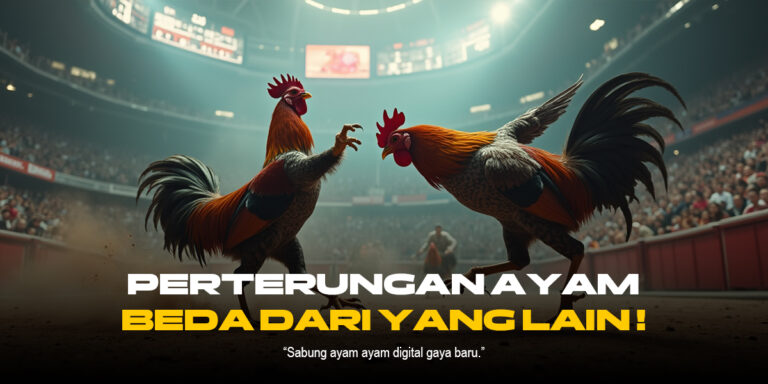 Sabung Ayam SV388: Adu Ayam Modern dengan Odds Kompetitif