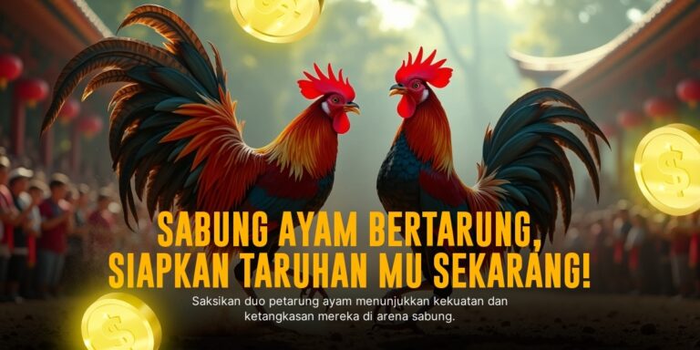 Mengupas Jenis Ayam Bangkok dalam Sabung Ayam SV388