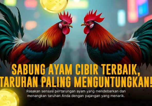 Mengupas Jenis Ayam Bangkok: Kunci Sabung Ayam Sakti