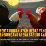 Mengenal Ayam Bangkok: Raja Sabung Ayam dan Odds Terbaik di SV388