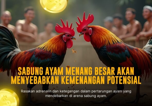 Jenis Ayam Bangkok: Raja Sabung Ayam dengan Keunggulan Nyata