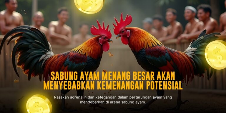 Jenis Ayam Bangkok: Raja Sabung Ayam dengan Keunggulan Nyata