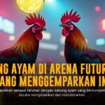 Mengenal Ayam Bangkok, Raja di Arena Sabung Ayam Modern